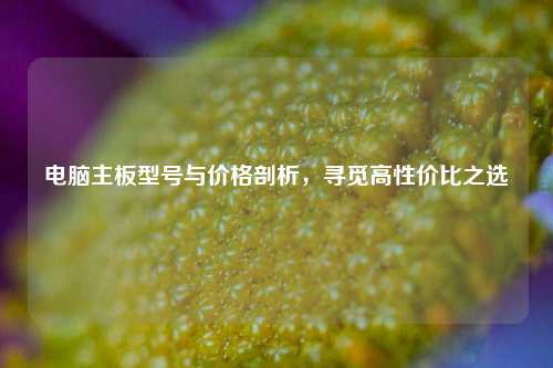 电脑主板型号与价格剖析，寻觅高性价比之选