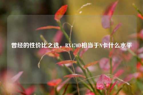 曾经的性价比之选，RX470D相当于N卡什么水平