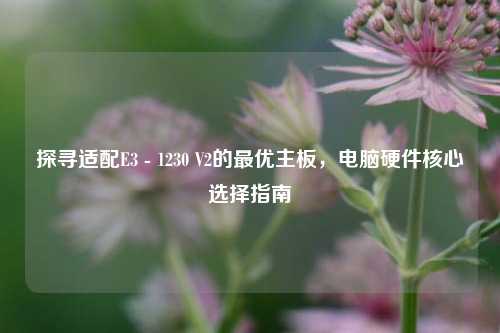 探寻适配E3 - 1230 V2的最优主板,电脑硬件核心选择指南