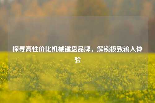 探寻高性价比机械键盘品牌，解锁极致输入体验