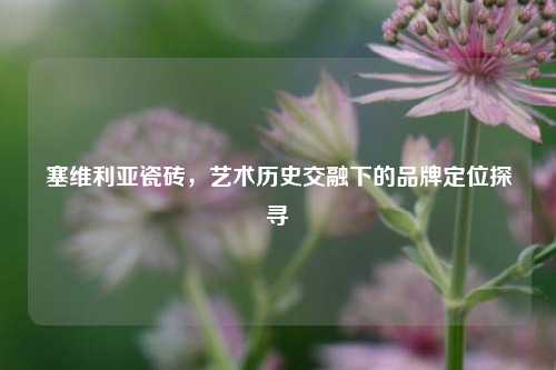 塞维利亚瓷砖，艺术历史交融下的品牌定位探寻