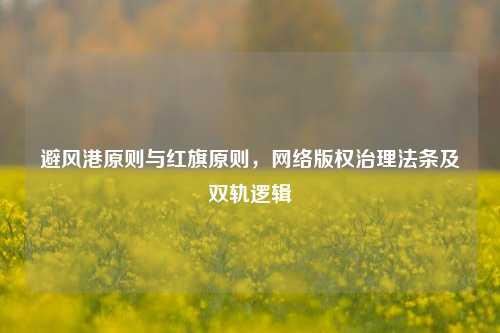 避风港原则与红旗原则,网络版权治理法条及双轨逻辑