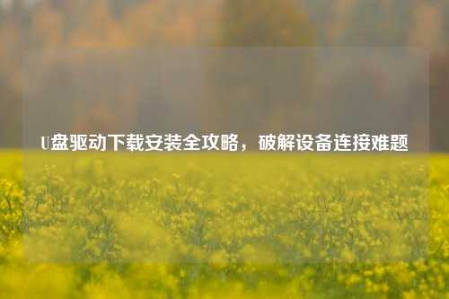 U盘驱动下载安装全攻略，破解设备连接难题