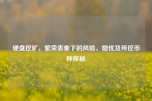 硬盘挖矿,繁荣表象下的风险、隐忧及所挖币种探秘