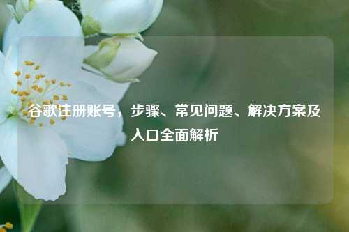 谷歌注册账号，步骤、常见问题、解决方案及入口全面解析