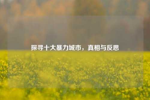 探寻十大暴力城市，真相与反思
