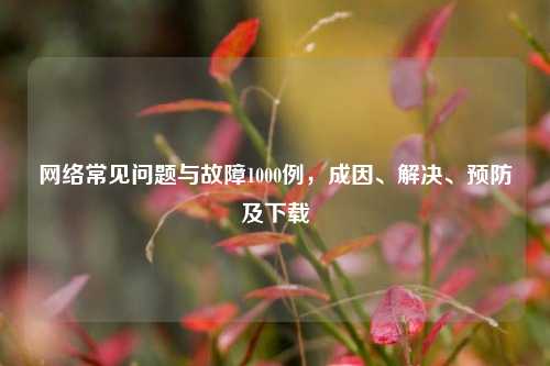 网络常见问题与故障1000例，成因、解决、预防及下载