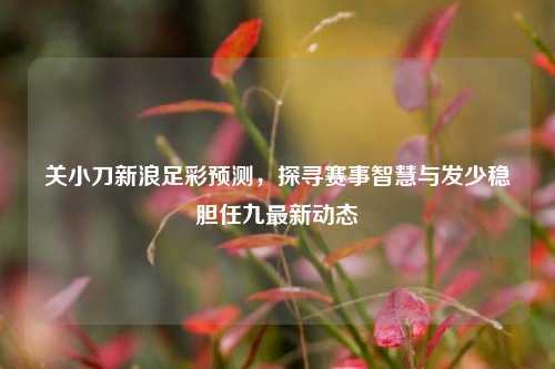 关小刀新浪足彩预测，探寻赛事智慧与发少稳胆任九最新动态