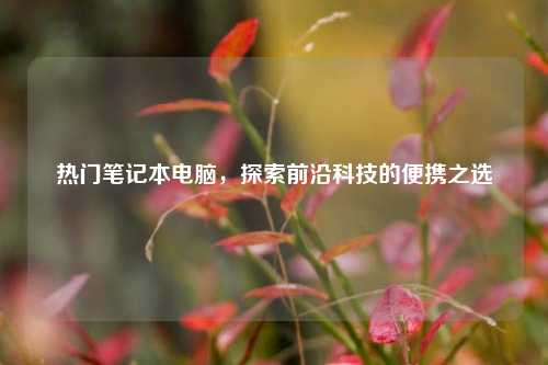 热门笔记本电脑,探索前沿科技的便携之选