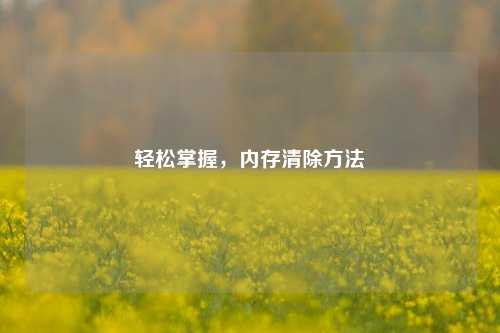 轻松掌握，内存清除方法