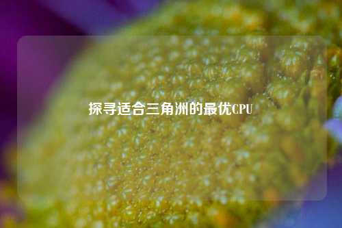 探寻适合三角洲的最优CPU