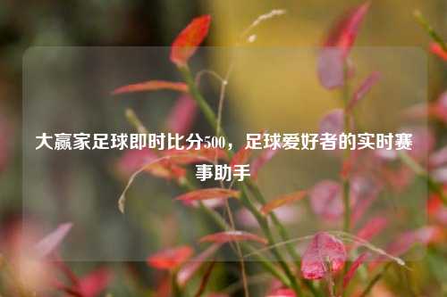 大赢家足球即时比分500，足球爱好者的实时赛事助手