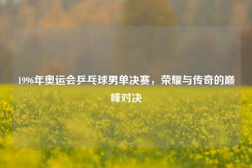 1996年奥运会乒乓球男单决赛，荣耀与传奇的巅峰对决