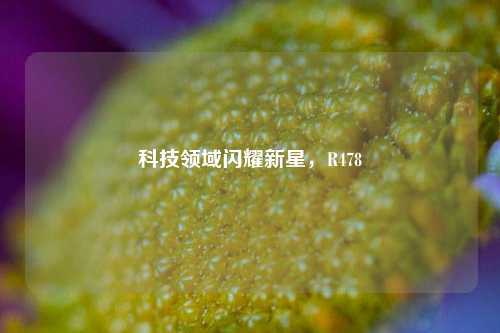科技领域闪耀新星，R478