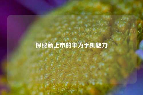 探秘新上市的华为手机魅力