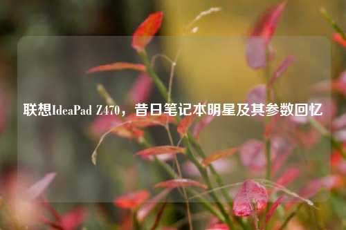 联想IdeaPad Z470，昔日笔记本明星及其参数回忆