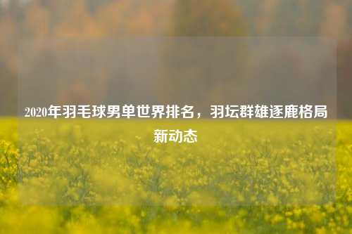 2020年羽毛球男单世界排名，羽坛群雄逐鹿格局新动态