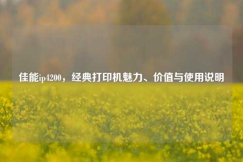 佳能ip4200,经典打印机魅力、价值与使用说明