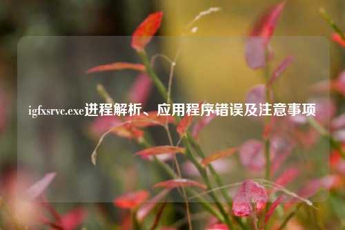 igfxsrvc.exe进程解析、应用程序错误及注意事项