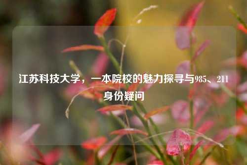 江苏科技大学，一本院校的魅力探寻与985、211身份疑问