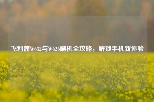 飞利浦W632与W626刷机全攻略，解锁手机新体验