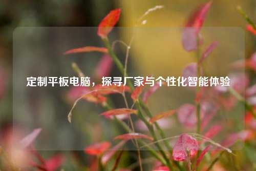 定制平板电脑，探寻厂家与个性化智能体验