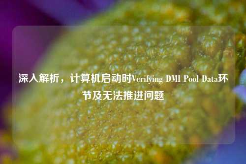 深入解析,计算机启动时Verifying DMI Pool Data环节及无法推进问题