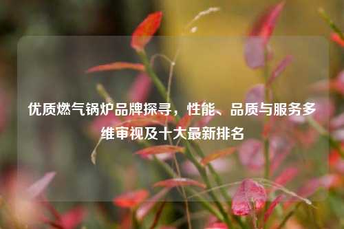 优质燃气锅炉品牌探寻,性能、品质与服务多维审视及十大最新排名