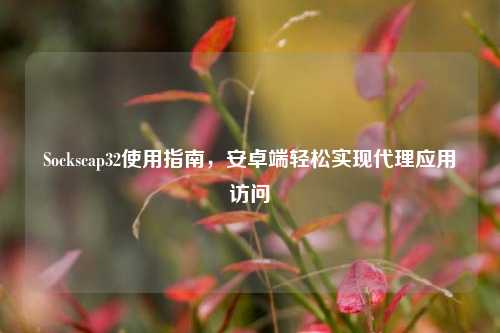Sockscap32使用指南，安卓端轻松实现代理应用访问