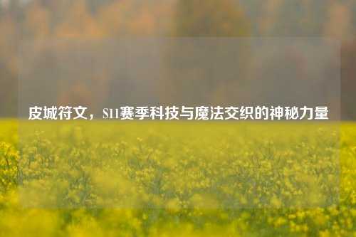 皮城符文,S11赛季科技与魔法交织的神秘力量