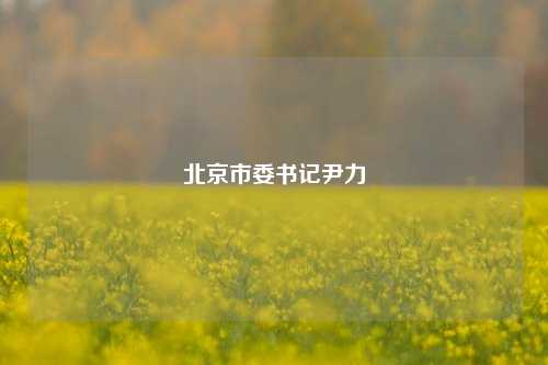 北京市委书记尹力