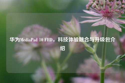 华为MediaPad 10 FHD，科技体验融合与升级包介绍