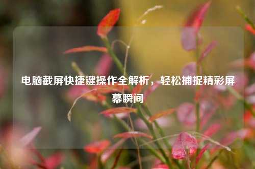 电脑截屏快捷键操作全解析，轻松捕捉精彩屏幕瞬间