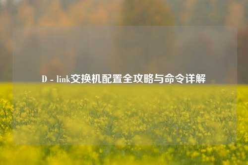D - link交换机配置全攻略与命令详解