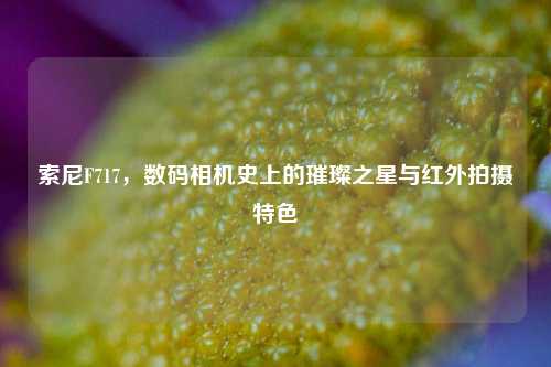索尼F717,数码相机史上的璀璨之星与红外拍摄特色
