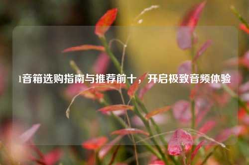 1音箱选购指南与推荐前十,开启极致音频体验