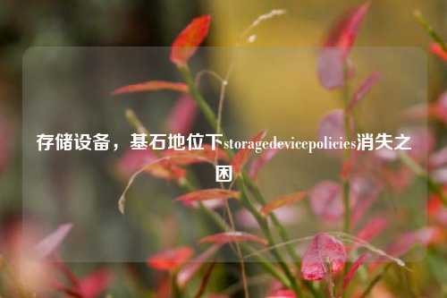 存储设备，基石地位下storagedevicepolicies消失之困