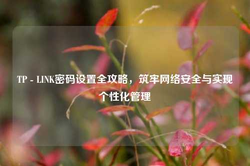 TP - LINK密码设置全攻略，筑牢网络安全与实现个性化管理