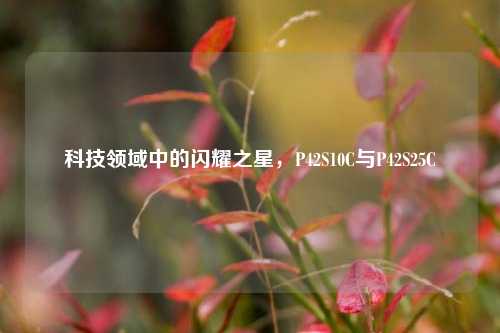 科技领域中的闪耀之星,P42S10C与P42S25C