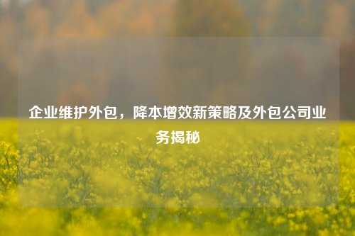 企业维护外包,降本增效新策略及外包公司业务揭秘