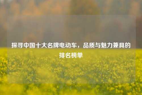 探寻中国十大名牌电动车，品质与魅力兼具的排名榜单
