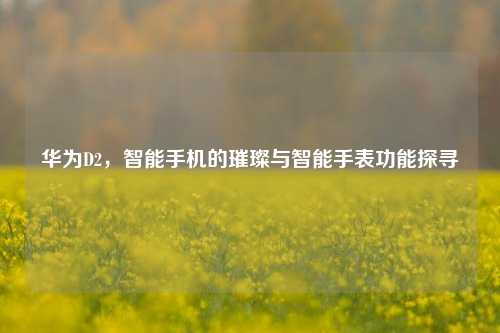 华为D2,智能手机的璀璨与智能手表功能探寻