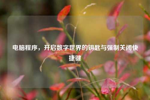 电脑程序，开启数字世界的钥匙与强制关闭快捷键