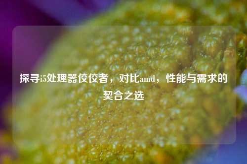 探寻i5处理器佼佼者，对比amd，性能与需求的契合之选