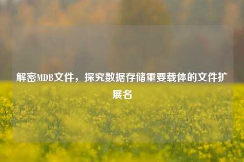 解密MDB文件，探究数据存储重要载体的文件扩展名