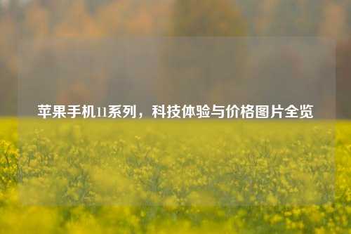 苹果手机11系列，科技体验与价格图片全览