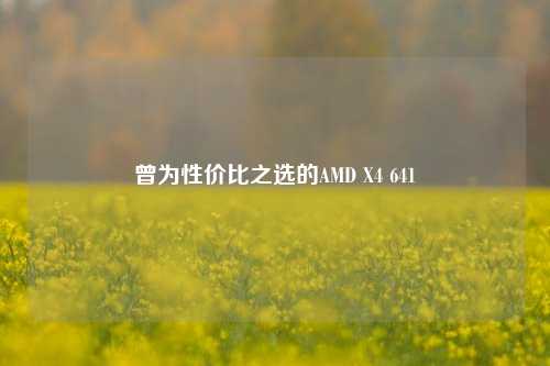 曾为性价比之选的AMD X4 641