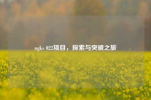 ngks 022项目,探索与突破之旅