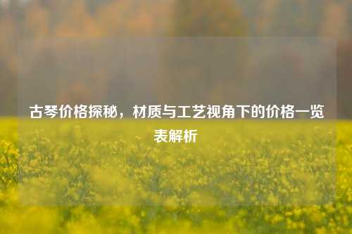 古琴价格探秘,材质与工艺视角下的价格一览表解析