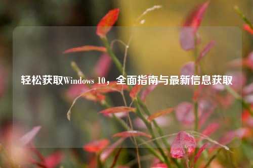 轻松获取Windows 10,全面指南与最新信息获取